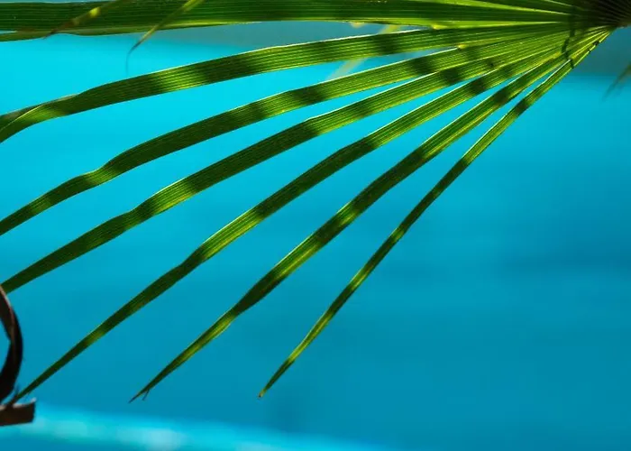 La Herbert A Oda ve Kahvaltı Andernos-les-Bains