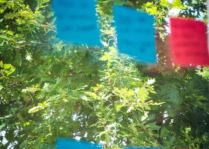 Oda ve Kahvaltı La Herbert A Andernos-les-Bains