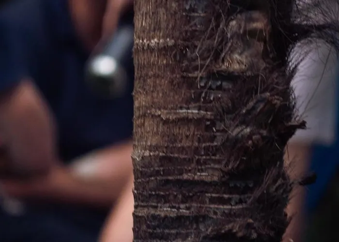 La Herbert A Andernos-les-Bains