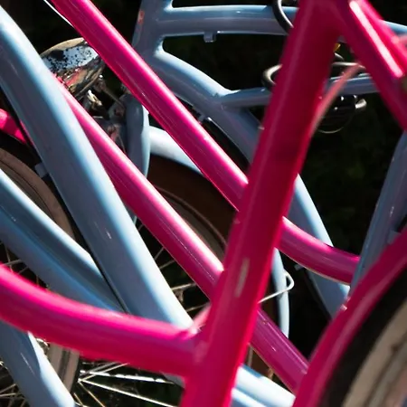 La Herbert à Bed & Breakfast Andernos-les-Bains