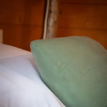 La Herbert A 3* Andernos-les-Bains