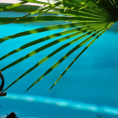 La Herbert A Bed & Breakfast Andernos-les-Bains