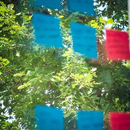 Bed & Breakfast La Herbert à Andernos-les-Bains