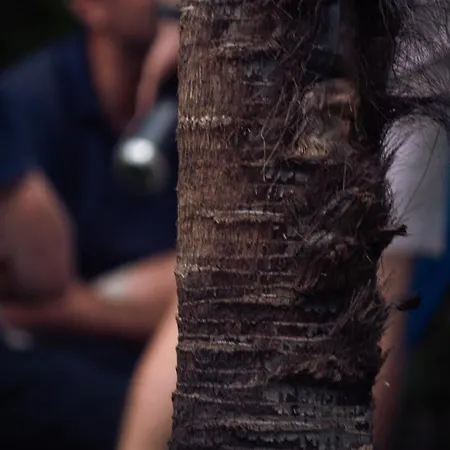 La Herbert A Andernos-les-Bains